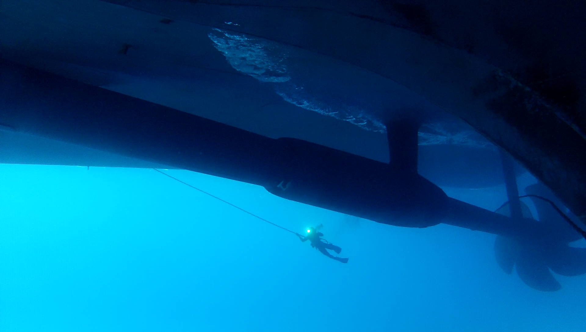 In-Water Surveys